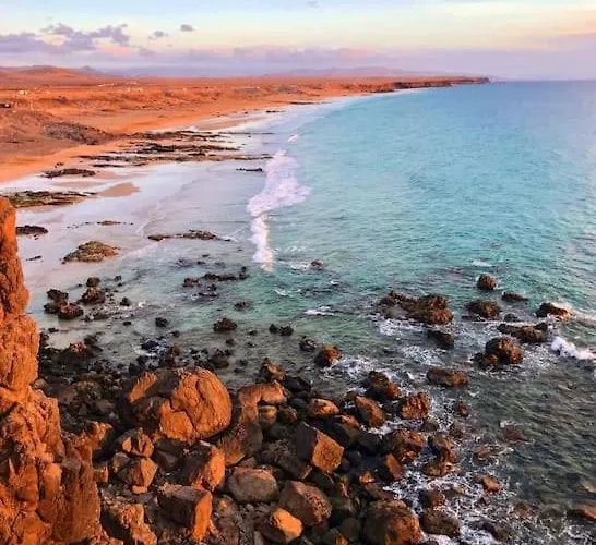 Ad ラ・オリーバ